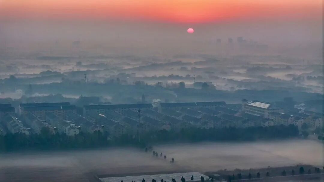 16250297314694.jpeg 图片