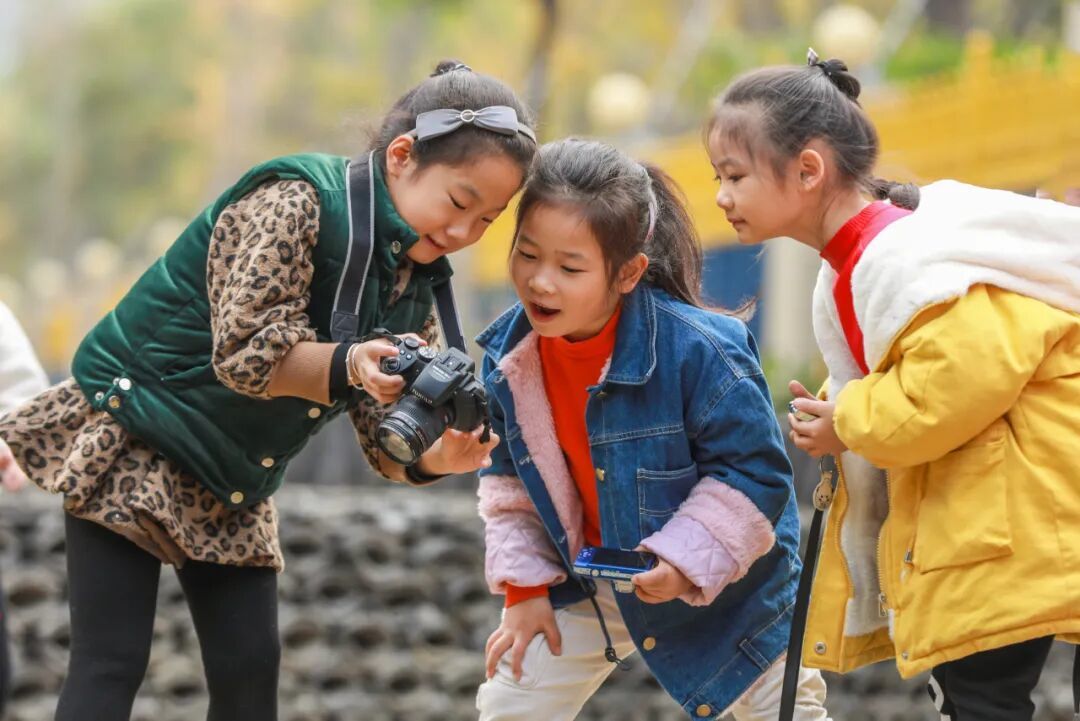 16250297381841.jpeg 图片