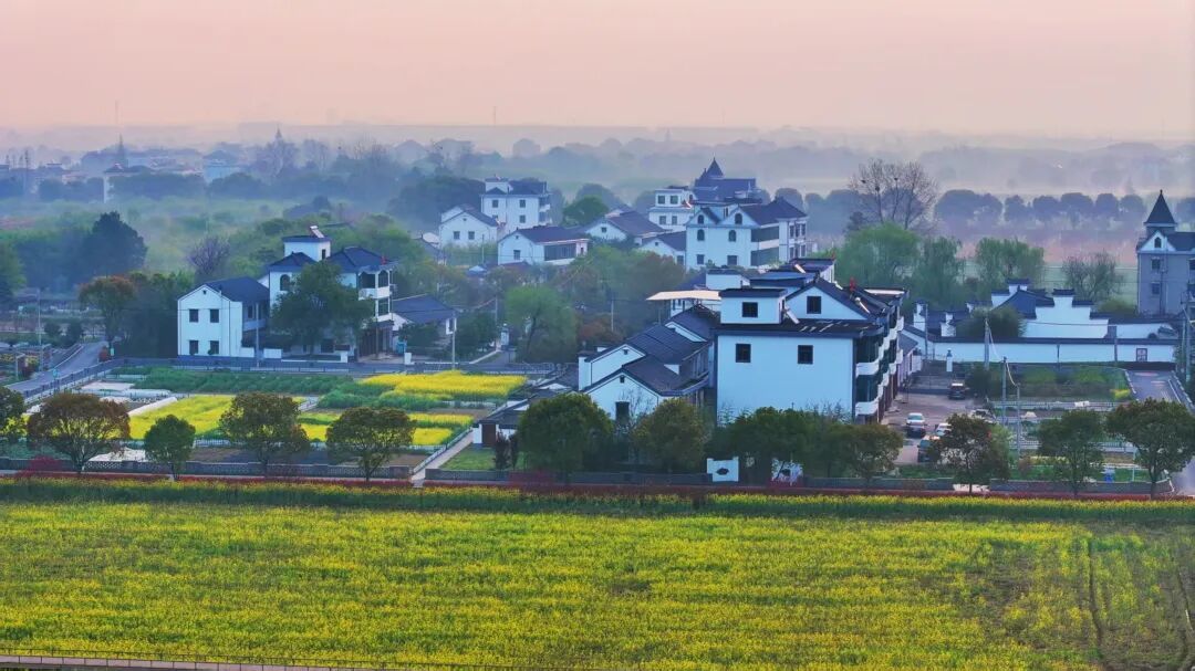 16250297482192.jpeg 图片