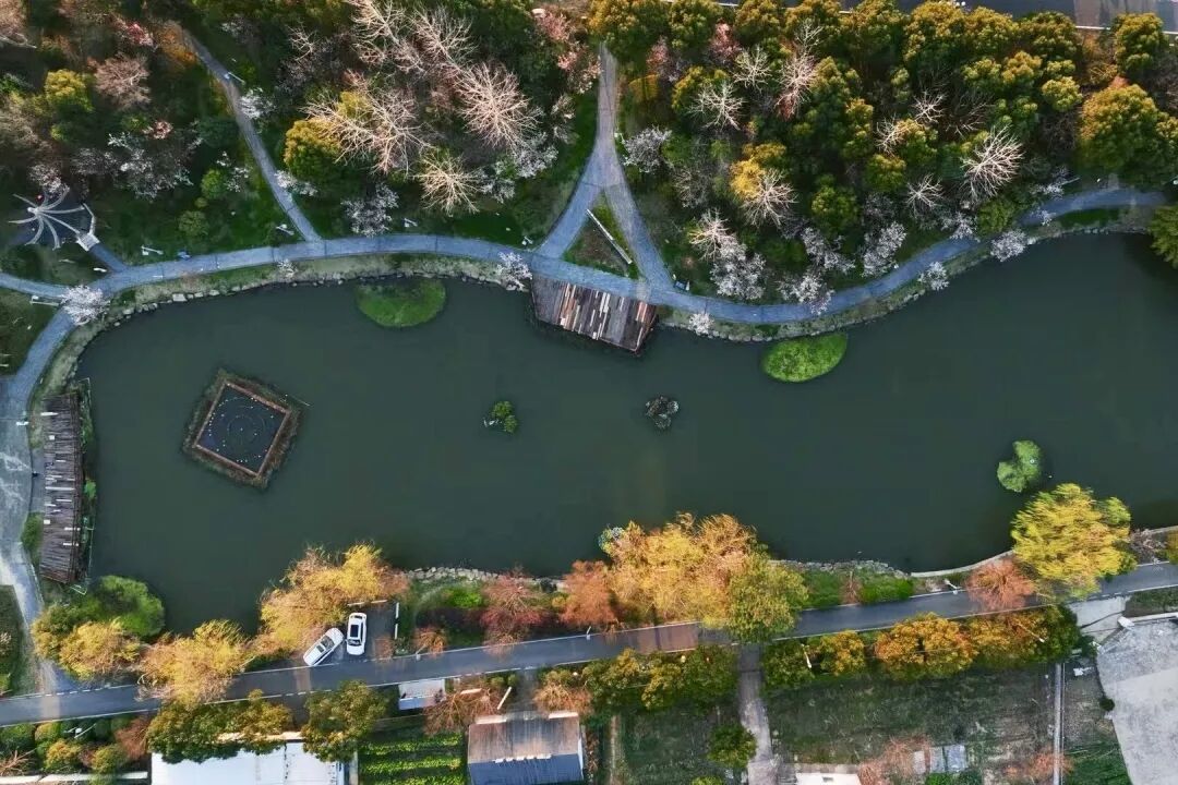 16250297556548.jpeg 图片