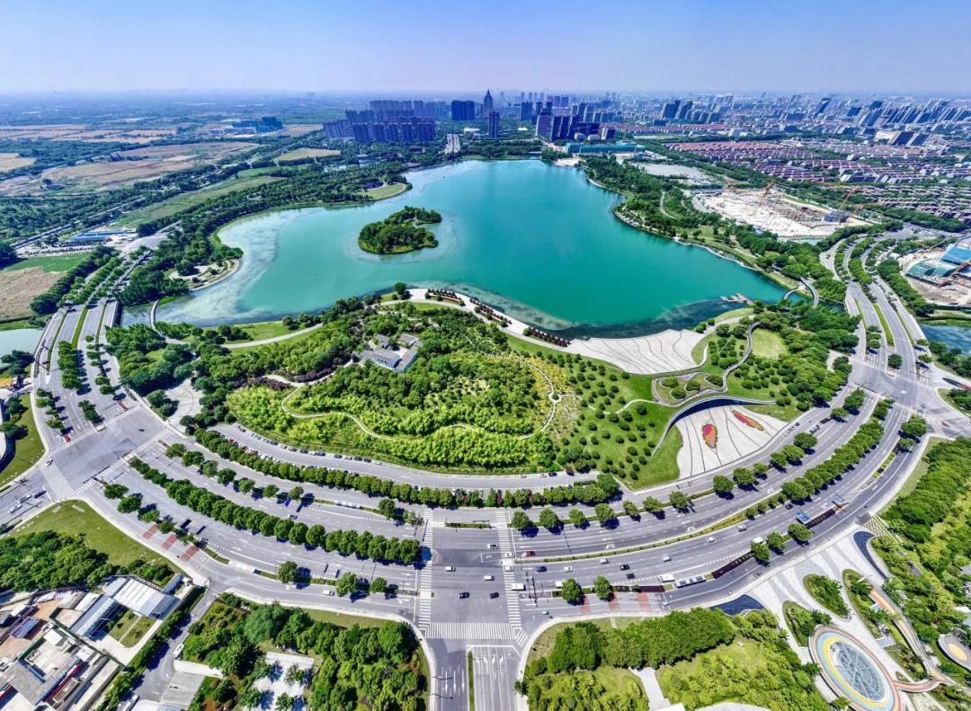 16363002806981.webp 图片