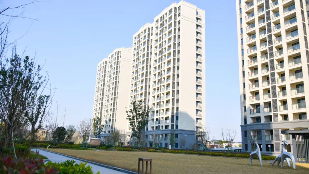 16372343162770.webp 图片