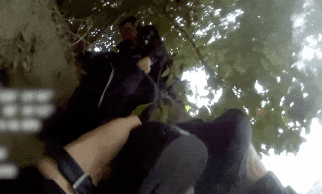16378725954129.gif 图片