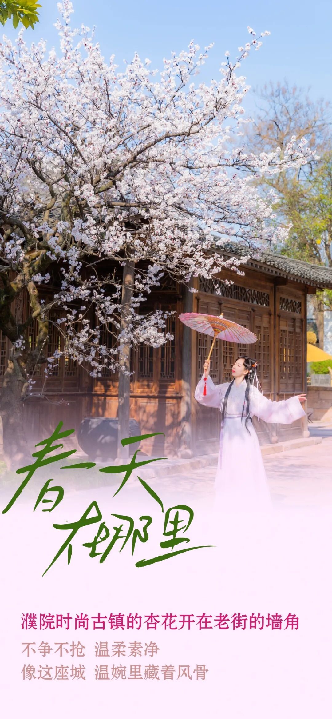 16722221089617.jpeg 图片