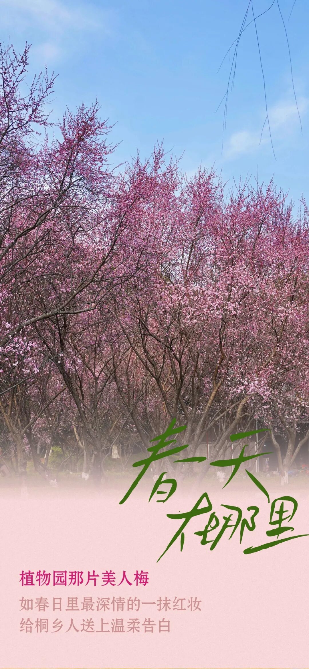 16722221147664.jpeg 图片