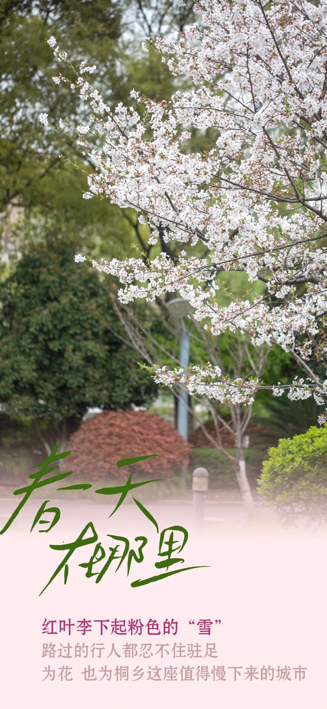 16722221147665.jpeg 图片