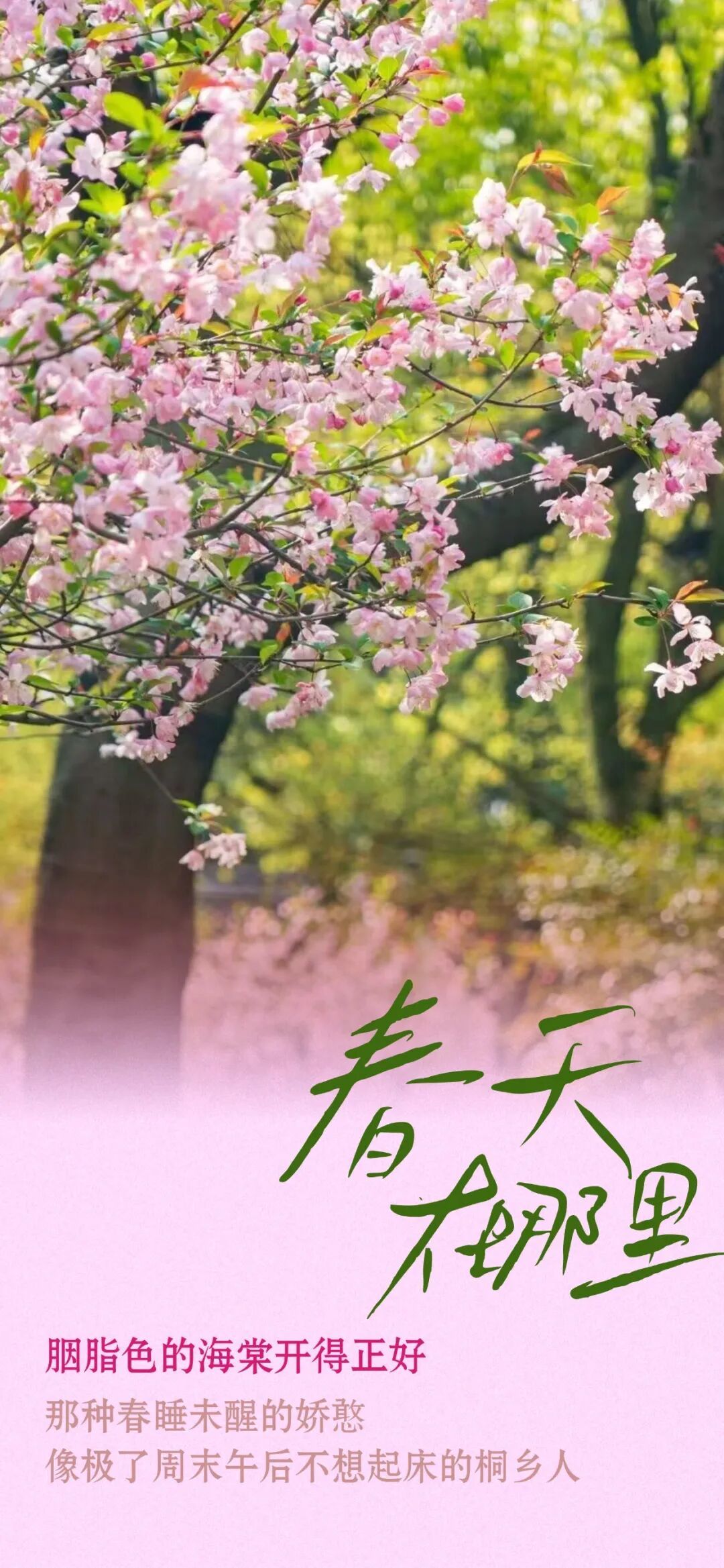 16722221147666.jpeg 图片