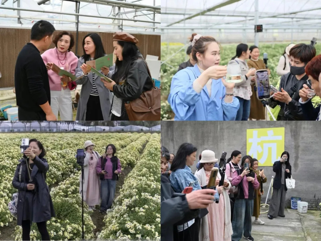 16785831672708.webp 图片