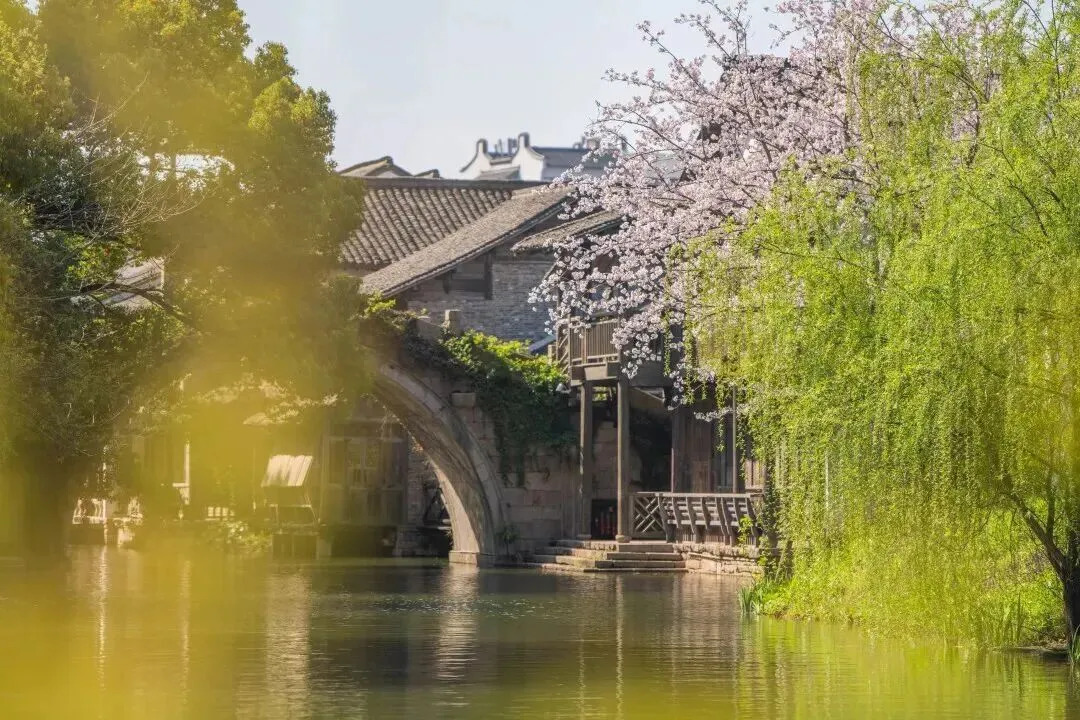 16887540480402.webp 图片