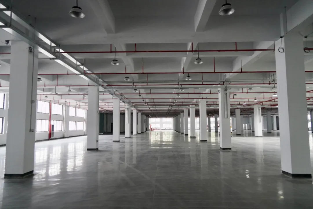 16947036669957.webp 图片