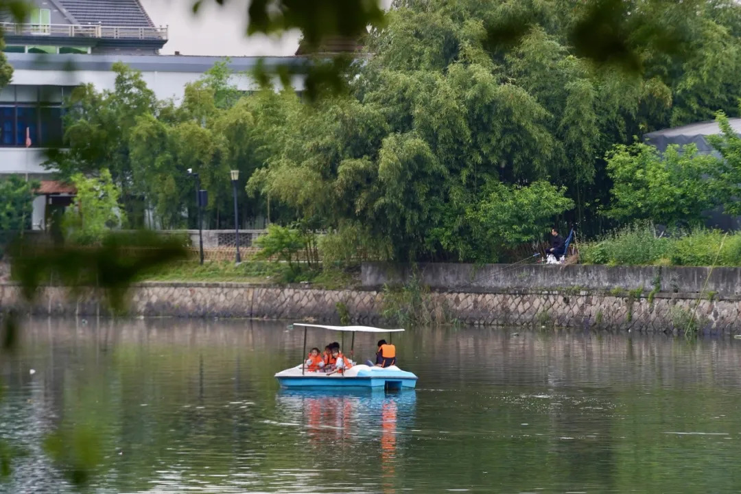 17001600157072.webp 图片