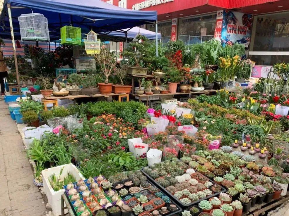 https://images.weserv.nl/?url=https://mmbiz.qpic.cn/mmbiz_jpg/bCFr8VypWfxK6IibCw9R1zsyCf6UYyT9ViaQ5wXLcdNcbTkzSIR6I1DxNVnsorD95iajYk34IBiahkxSibsT0gCEicicA/640?wx_fmt=jpeg&from=appmsg