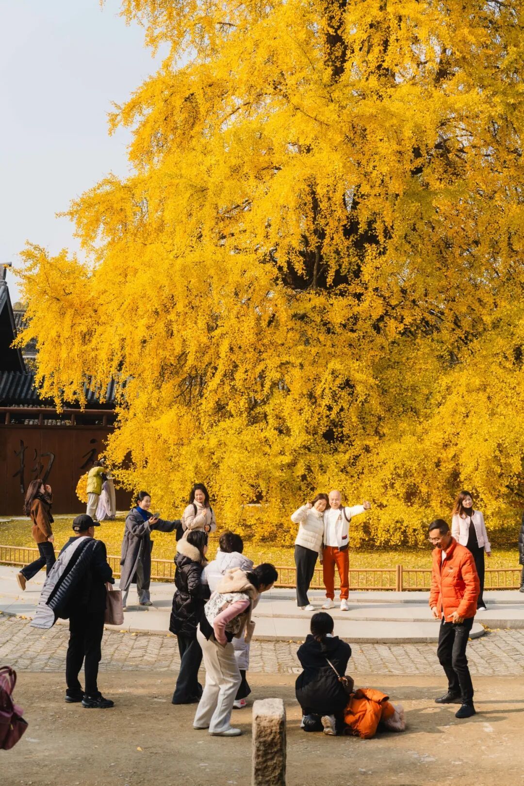 16105732188741.jpeg 图片