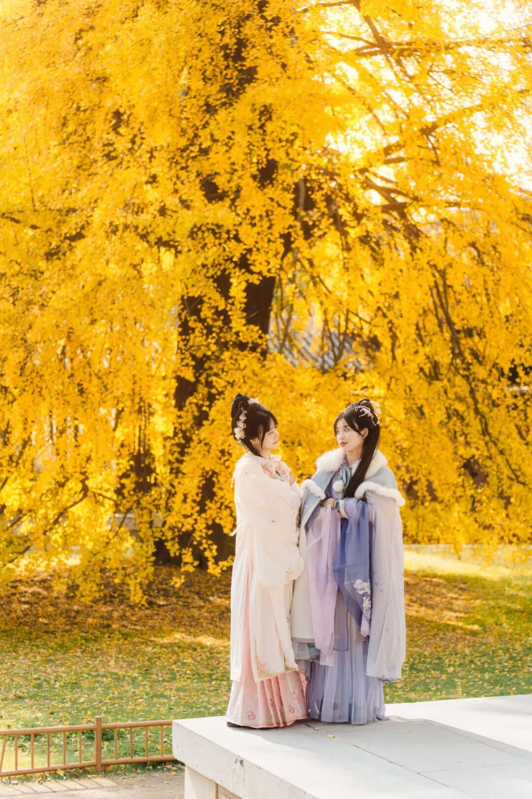 16105732244740.jpeg 图片