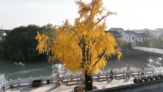 16105732305604.gif 图片