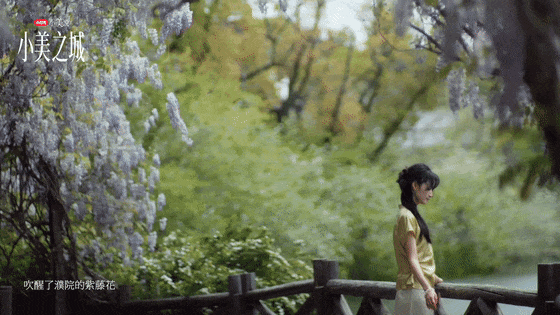 16973960196690.gif 图片